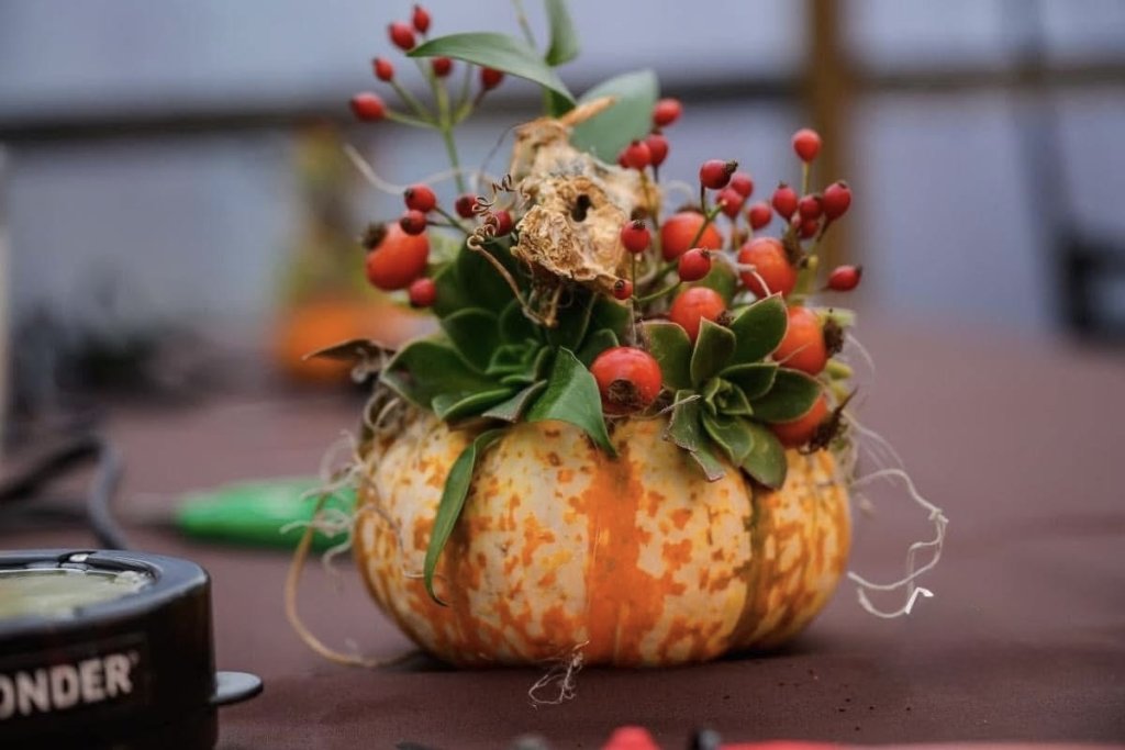 A small decorative pumpkin topped with succulents and red berries on a table in Central Oregon.
